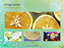 Close-up of Citrus in Water Presentation slide 13