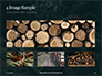 Pile of Wood Logs Presentation slide 13