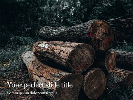 Pile of Wood Logs Presentation Presentation Template, Master Slide