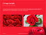 Beautiful Red Rose Close Up Presentation slide 11