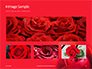 Beautiful Red Rose Close Up Presentation slide 13