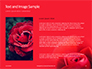 Beautiful Red Rose Close Up Presentation slide 15