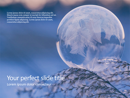A Frozen Soap Bubble on a Branch Presentation Presentation Template, Master Slide