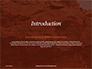 Red Martian Landscape Presentation slide 3