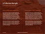 Red Martian Landscape Presentation slide 5