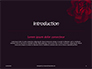 Little rain drops on the beautiful red rose Presentation slide 3