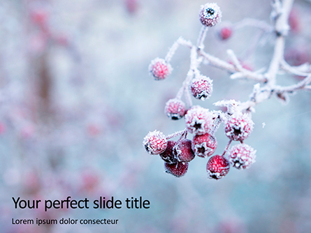 Frosted Hawthorn Berries in the Garden Presentation Presentation Template, Master Slide