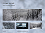 Beautiful Snowy Winter Forest Presentation slide 13