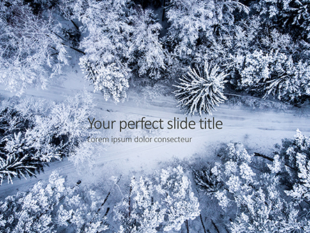 Beautiful Snowy Winter Forest Presentation Presentation Template, Master Slide
