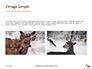 Deer in the Winter Field Presentation slide 11