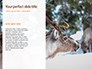 Deer in the Winter Field Presentation slide 9