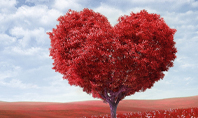 A Red Heart Shaped Tree Presentation Presentation Template