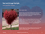 A Red Heart Shaped Tree Presentation slide 15