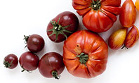 Variety of Ripe Fresh Organic Gardening Tomatoes Presentation Presentation Template