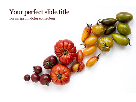 Variety of Ripe Fresh Organic Gardening Tomatoes Presentation Presentation Template, Master Slide