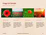 Red Poppy in the Field Presentation slide 16