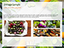 Frame of Green Organic Vegetables on Wooden Surface Presentation slide 12