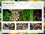 Frame of Green Organic Vegetables on Wooden Surface Presentation slide 13