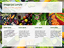 Frame of Green Organic Vegetables on Wooden Surface Presentation slide 16