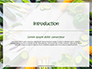 Frame of Green Organic Vegetables on Wooden Surface Presentation slide 3