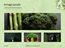 Broccoli on Green Background Presentation slide 13