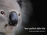 Close-up Portrait of Koala Bear Presentation slide 1