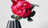 Beautiful Red Flower in Vase Presentation Presentation Template