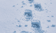 Footsteps in Snow Presentation Presentation Template