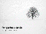 Alone Tree on a Winter Field Presentation slide 1