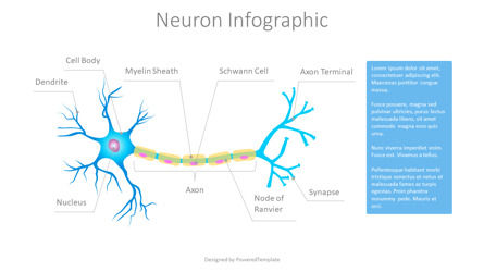 Neuron Structure Diagram Presentation Template, Master Slide