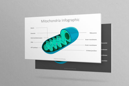 Mitochondria Free Diagram Presentation Template, Master Slide